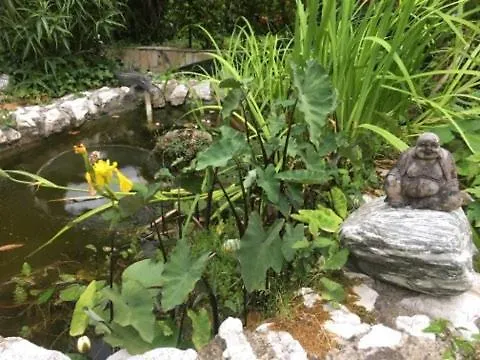 アパート Stellaris *